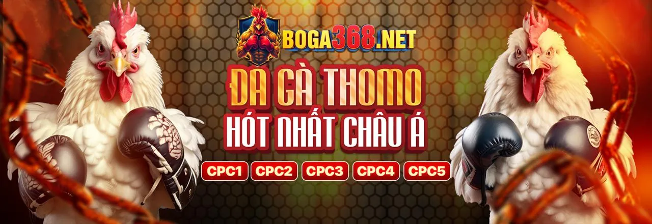 Bảo mật betvn