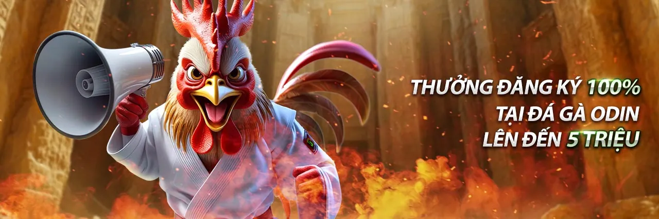 Hình ảnh chính của blog BetVN